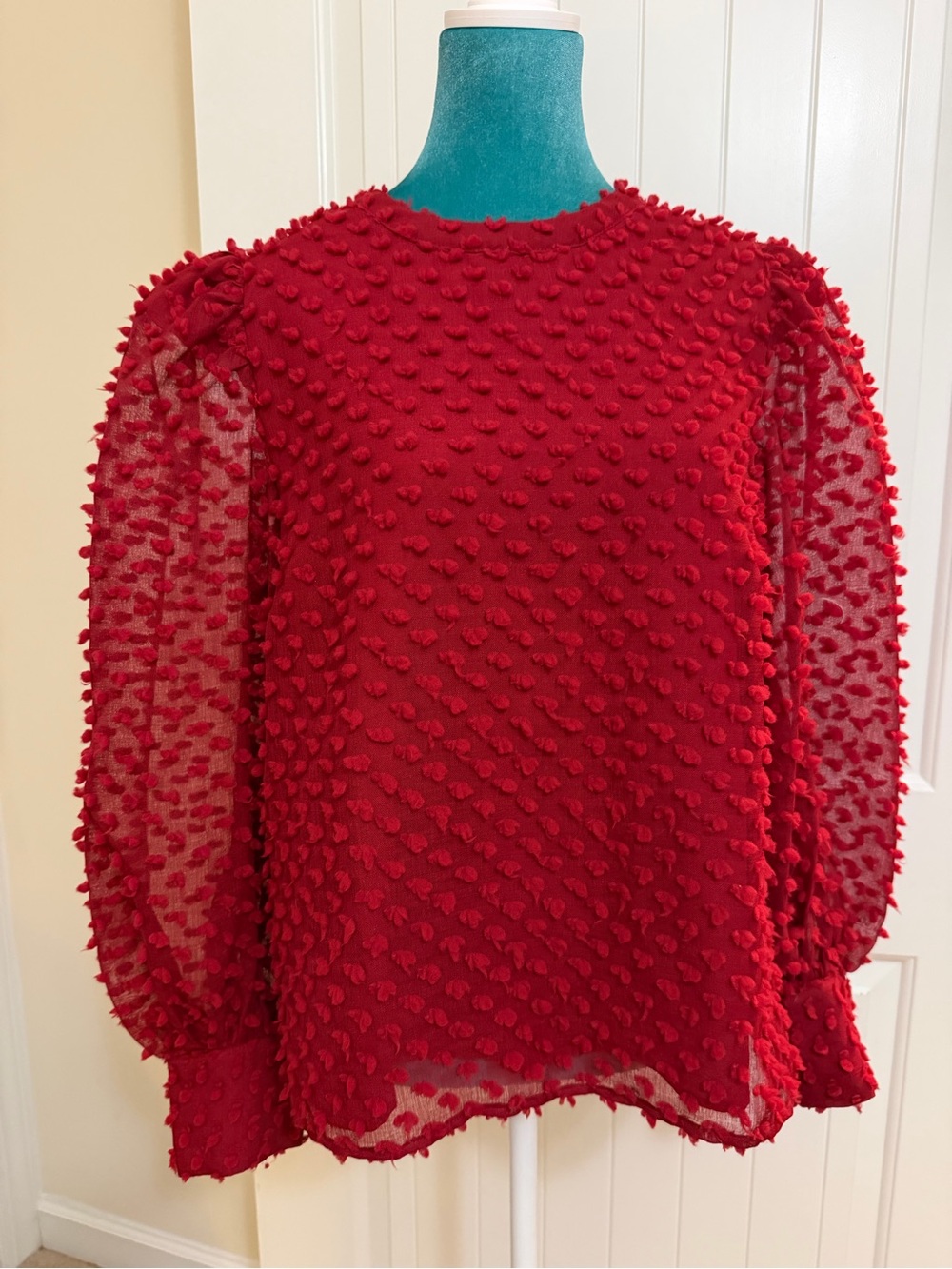 Hyacinth House Bold Red Textured Swiss-Dot Sheer Sleeve Blouse size Large